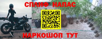 дистиллят марихуана Кингисепп