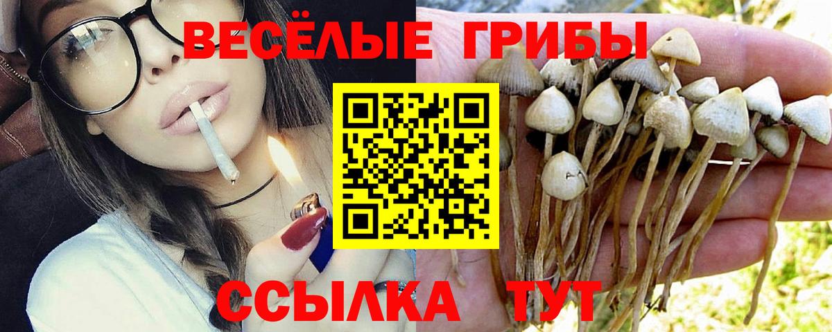 Псилоцибиновые грибы мицелий Канаш