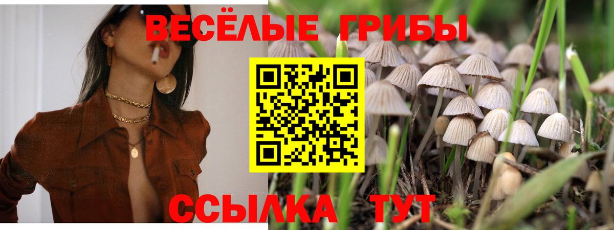 Канаш  как найти закладки  Вход с VPN  Псилоцибиновые грибы ЛСД 